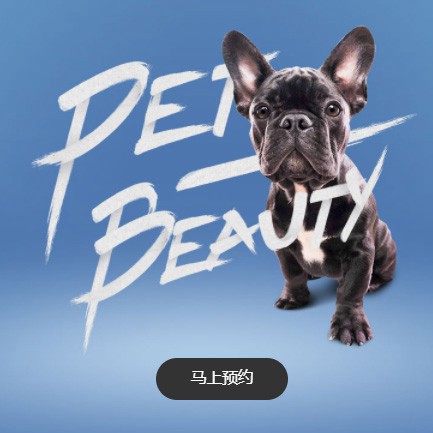 石阡宠物中心小程序开发