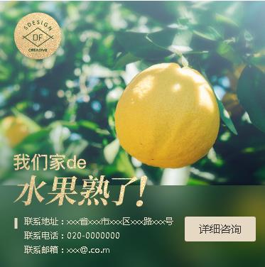 石阡果园果林小程序开发